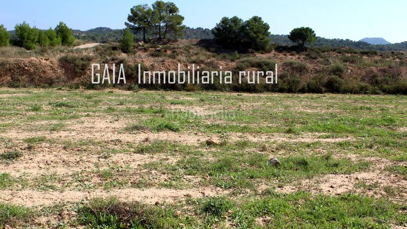 Foto 9b43b279-5780-469b-aee1-4ec09ebd33e1. Masia a Batea