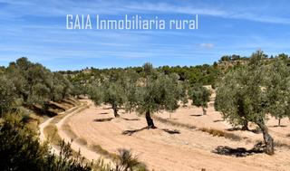 Landgut in Fabara