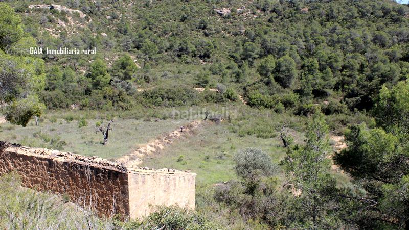 Foto 47b34459-2be1-45ce-817f-bc812be6944a. Masía en Batea