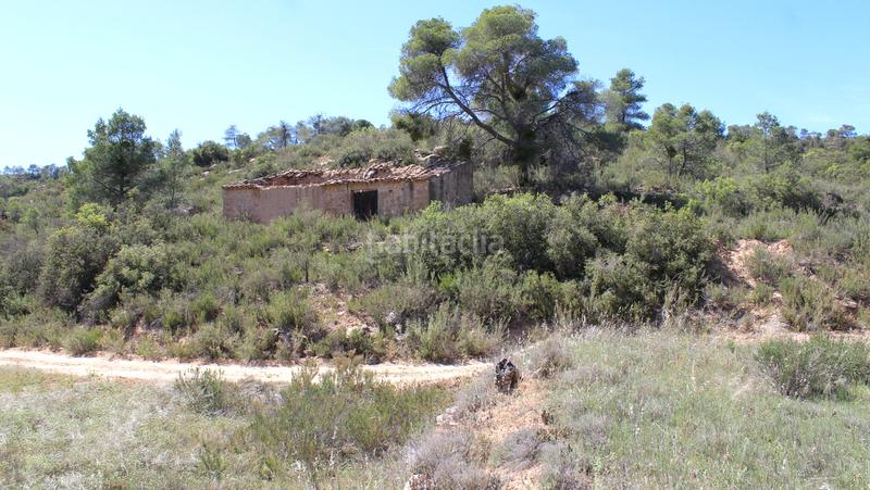 Foto 4c36aba0-1944-464a-bc71-d190328ba1fb. Masía en Batea