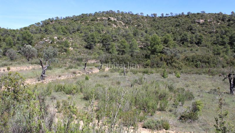 Foto 5a662f95-d091-489e-94cb-b0fb847105fc. Masía en Batea