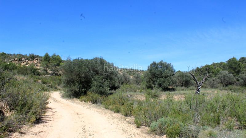 Foto 8cb43aac-2aad-4c98-8e22-478d73382482. Masía en Batea