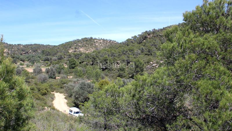 Foto a1c1b672-8a65-4315-92a0-7a2b2e623f84. Masía en Batea