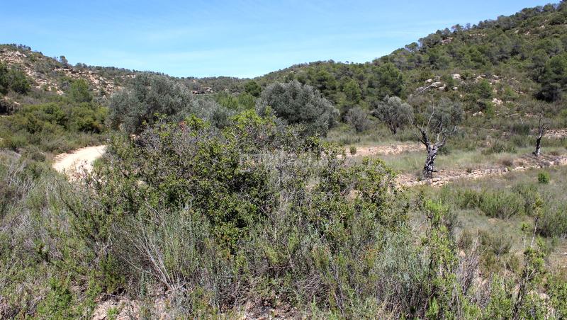 Foto f3949779-6ecb-44ce-aa7a-7ca89913e063. Masía en Batea