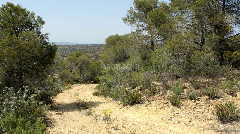 Foto 0b538680-eef4-4612-b565-2a3cdeba8d49. Masía en Maella
