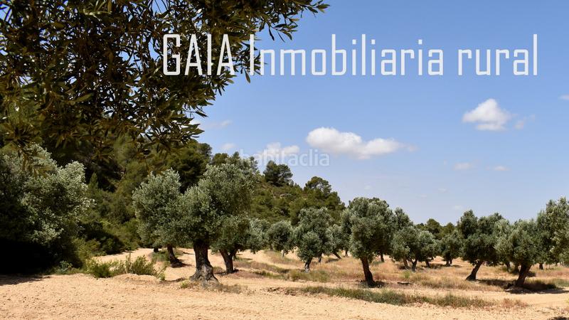 Foto cccde219-084f-4a8a-80d8-bc427c741e94. Finca rústica a Maella