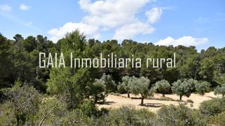 Finca rústica a Maella