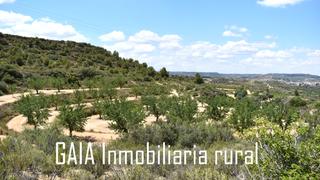 Finca rústica a Maella