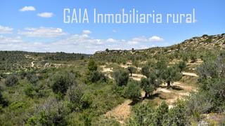 Finca rústica a Maella