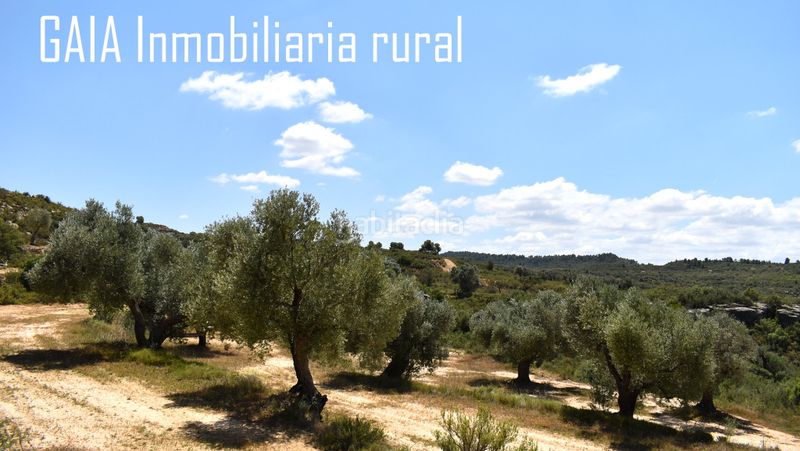 Foto 425fccd4-a9a2-42ff-8895-0e8e73e336c2. Finca rústica en Maella