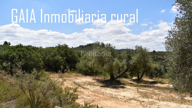 Foto 5736f76c-41a9-4a84-b691-18320cc28333. Finca rústica en Maella