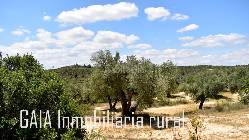 Foto e724454b-18d1-486d-9a9d-5ebcfbca5a7f. Finca rústica en Maella