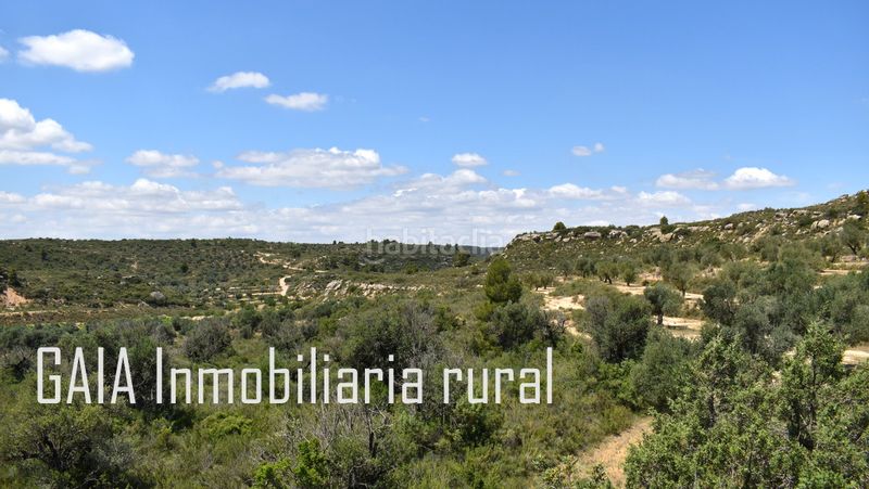 Foto fda8372d-7254-4525-8dfc-de1c7de8353d. Finca rústica en Maella