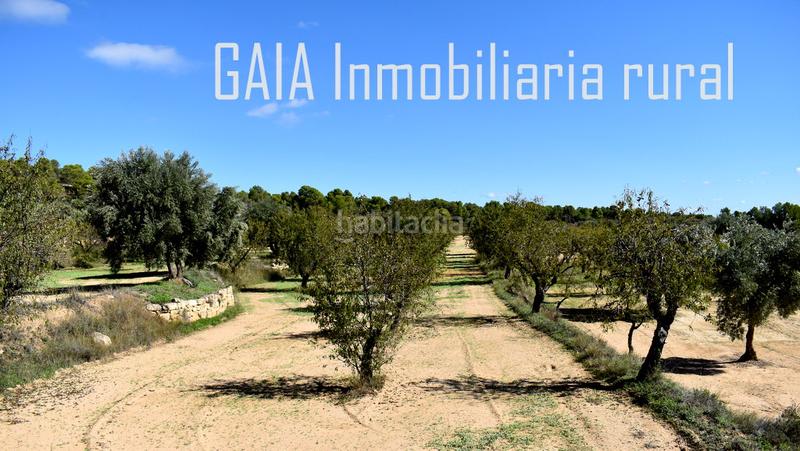 Foto 4c682ded-b26a-40f2-ba5f-959b2fe4f76f. Finca rústica a Mazaleón