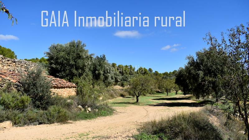 Foto 8b6c34b2-572a-4e47-a356-be777eda8d60. Finca rústica a Mazaleón