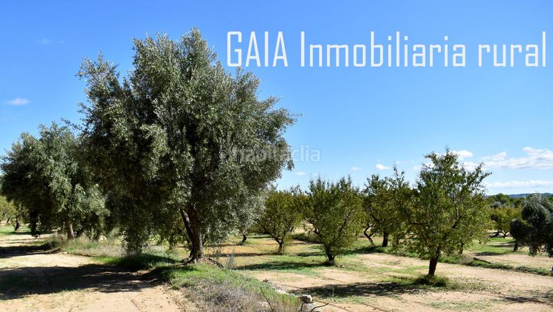 Foto b1b676c3-ba0b-49aa-8eed-26f3b1c8ac14. Finca rústica a Mazaleón