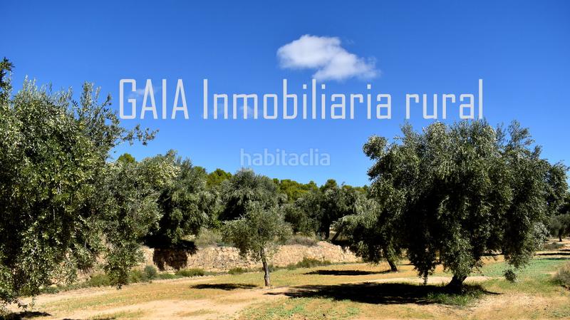 Foto ce267729-6d28-48d1-8773-8cfd88b35438. Finca rústica a Mazaleón