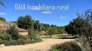 Finca rústica a Mazaleón