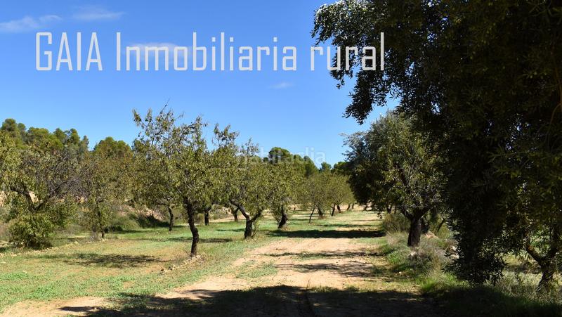 Foto f0021d3a-7fa1-46c9-bb9d-beb7b4be3f27. Finca rústica en Mazaleón