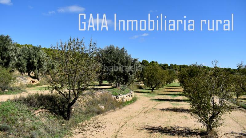 Foto f4dc28fc-147e-48ac-9eec-a1f758284a06. Finca rústica en Mazaleón
