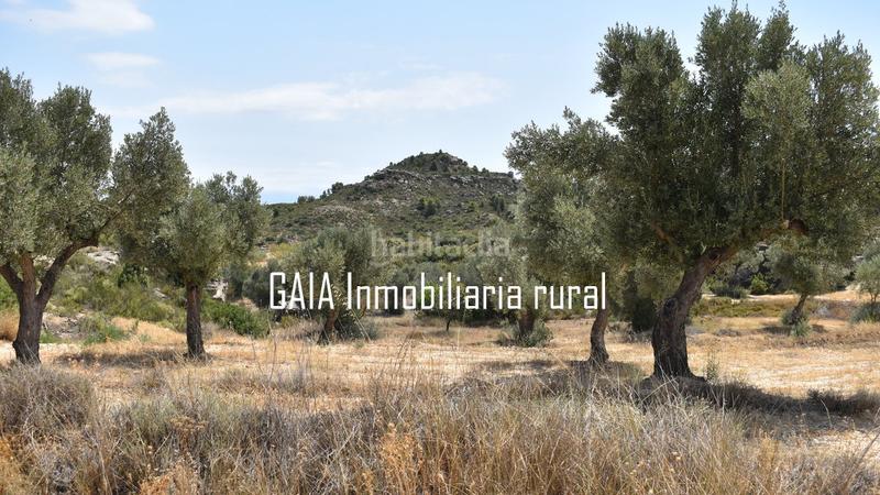 Foto 65262a98-fea8-497e-a00d-a7743e18e6bc. Masía en Maella