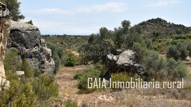 Foto ed49e8bb-7bec-4526-a676-60d8ff519547. Masía en Maella