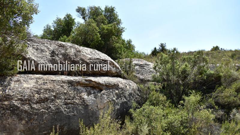Foto f07eb19a-9c71-46b3-881e-65c1b5f6aeee. Masía en Maella
