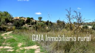 Rural plot in Maella