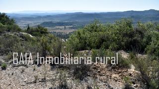 Finca rústica a Maella