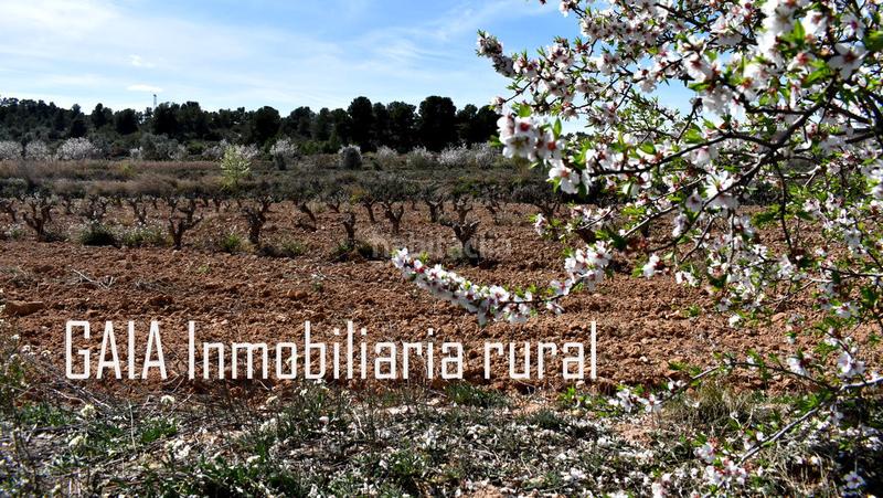 Foto 497f5ab4-f66f-4622-92c5-999ce1aa1de8. Masía en Maella