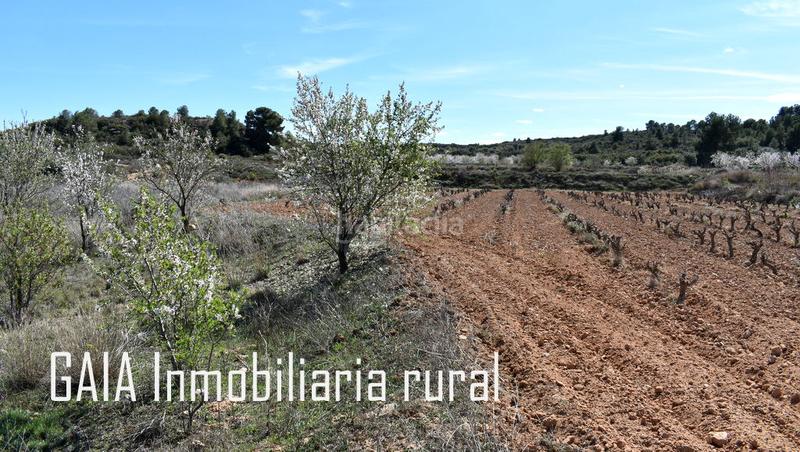 Foto 576c901e-1851-48dd-9ff4-fb66d284e1af. Masía en Maella