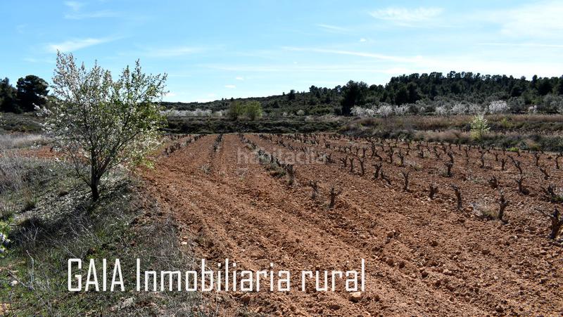 Foto 736aa3da-6582-48ae-b6a1-807f92e1376a. Masía en Maella
