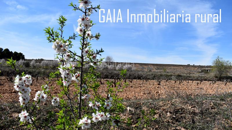 Foto a43df8dd-d0b2-4672-8913-4ca55696ee00. Masía en Maella