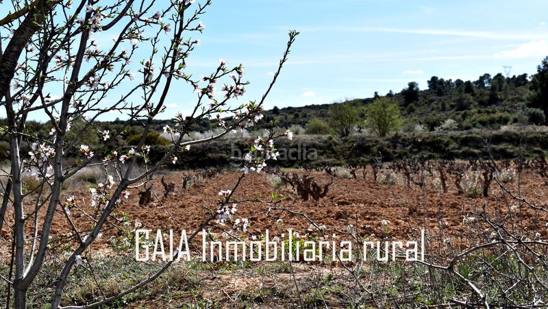 Foto e9ff7e7a-11c8-48f0-9047-44fa7ddf25da. Masía en Maella