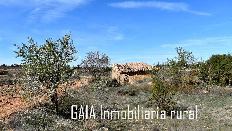 Foto ed8d07b2-7a11-4bae-aa26-2158f7370bd4. Masía en Maella