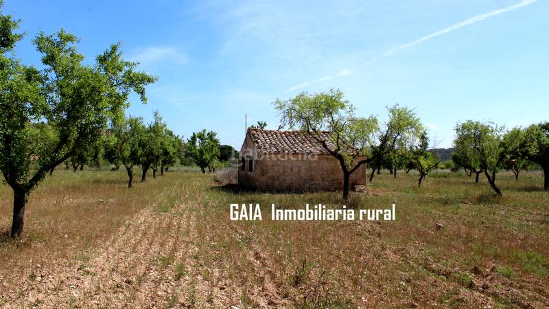 Foto 3e9d477d-d33e-4500-b46d-abbed8cd341e. Mas dans Fabara