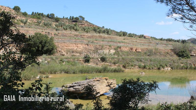 Foto 6b6c2d03-9aa8-4a23-bd62-b52ce21005b5. Mas dans Fabara