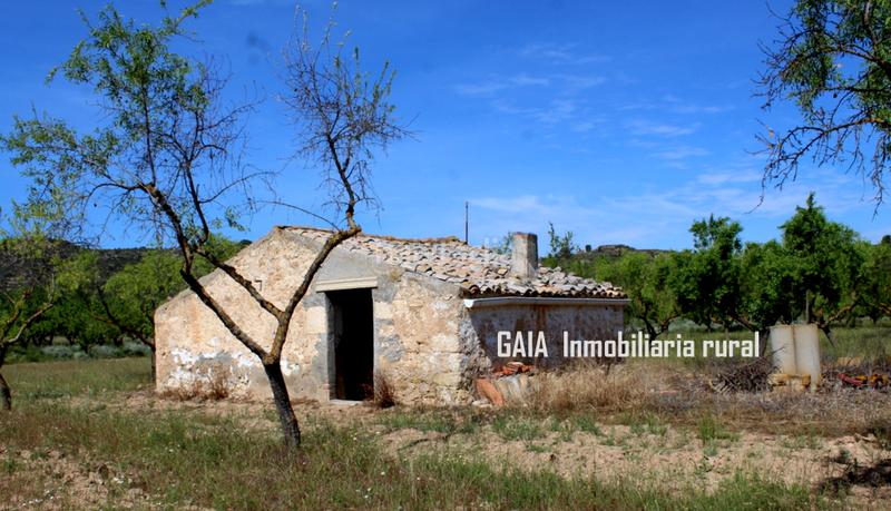 Foto e224f485-018d-446c-947e-3ea3e0a3bbdd. Mas dans Fabara