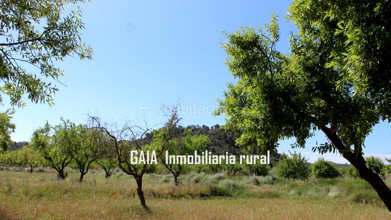 Foto 14fa2a46-97fb-488e-bd6a-67c354d672b1. Masía en Fabara