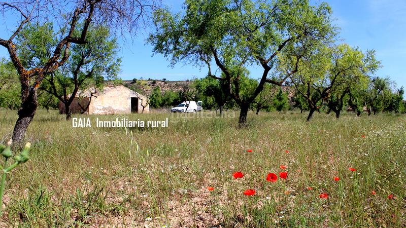 Foto 26860f63-f0e0-4cf4-bb4a-7302b062c4ec. Masía en Fabara