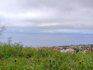 Residential Plot  Las higueras