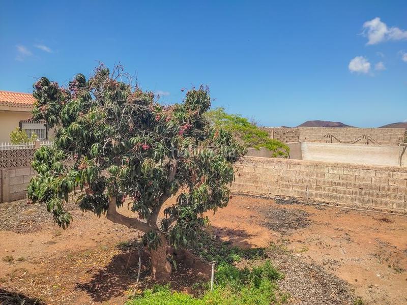 Foto 93092ebc-b295-405e-a2da-3abe84becf92. Maison dans Costa del Silencio Arona