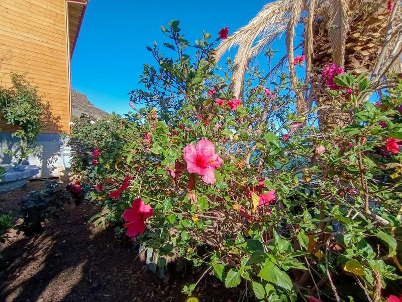 Foto 3bbaae78-f945-44e2-b996-cfa1f9e97b63. Casa in igueste de Candelaria Candelaria