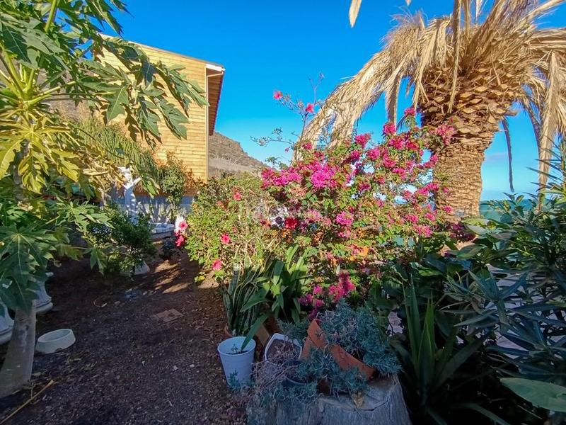 Foto 052be568-4196-48ce-b9d5-995306f6bb88. Maison dans igueste de Candelaria Candelaria