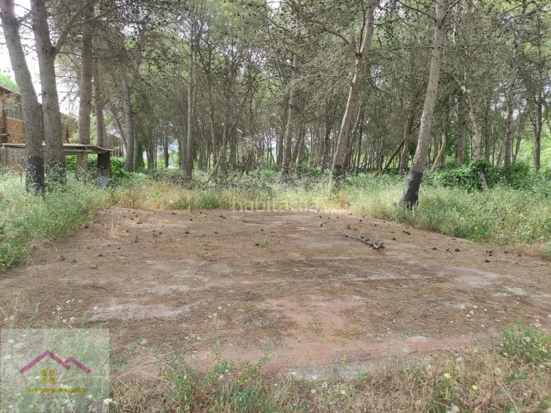 Foto a5c78425-1845-450b-b6a2-de19294339cb. Masia a partida plans s/n a Ulldecona
