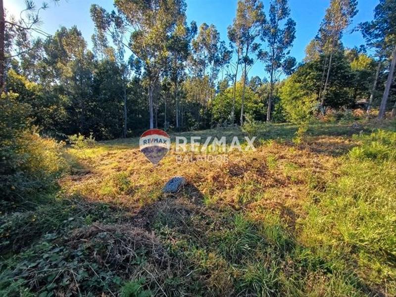 Foto 4b6066ae-e7cc-4d5a-a2de-29b8f42f2cfd. Terreno residencial en Cañiza (A)