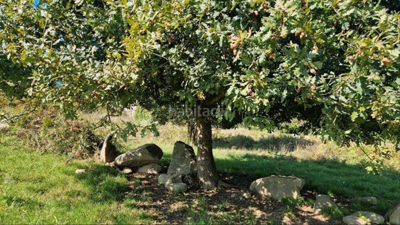 Foto 1bcdd01d-3787-4c09-bc2d-5105067d556a. Terreno residencial en Cabral - Candeán Vigo