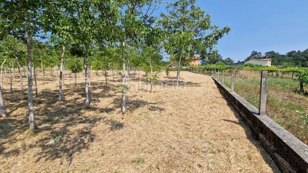 Foto 0d0de353-071f-4676-81d8-3cde8500501f. Terreno residencial en Rosal (O)