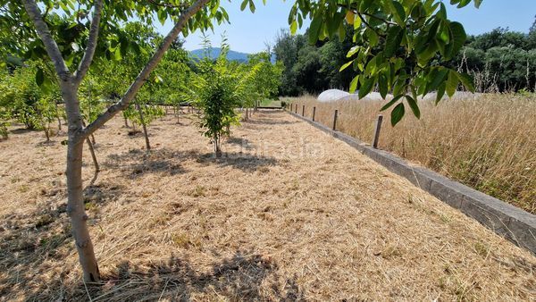 Foto 256f3b3d-ae08-47e5-b3b0-2637585fe5ba. Terreno residencial en Rosal (O)