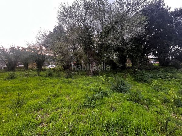 Foto 4be5309f-c682-48a2-a76f-16b3f27ac60f. Terreny residencial a Rosal (O)